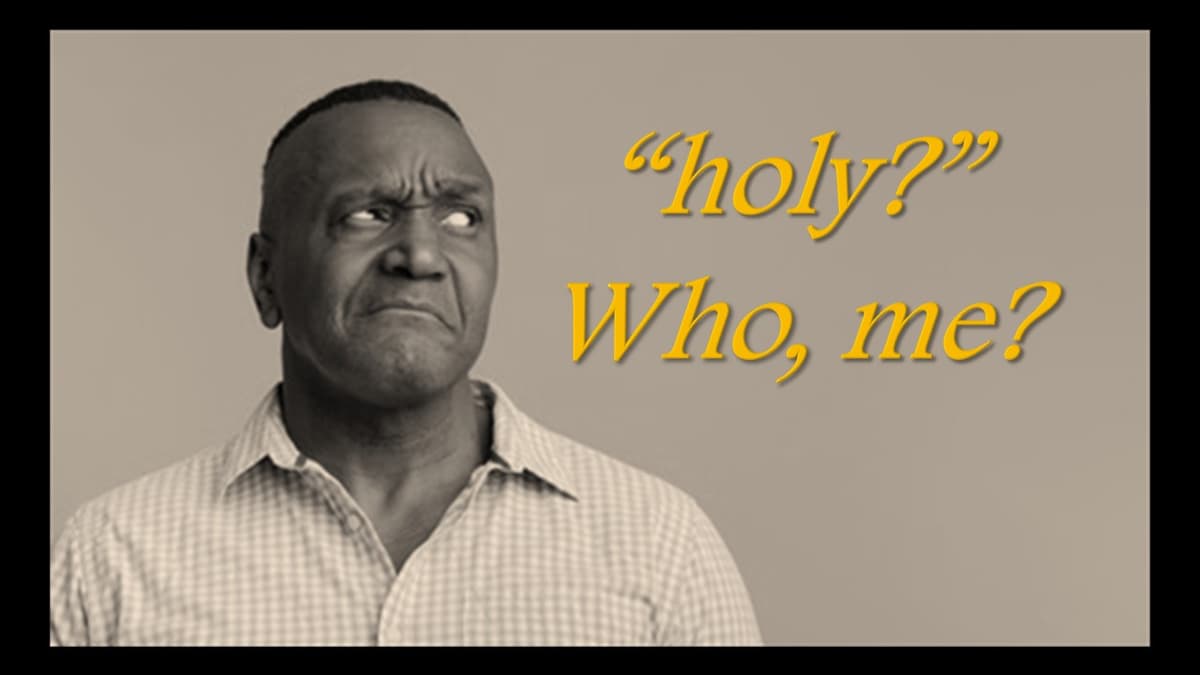 Holy? Who, Me? - Rev. Paul J. Miller cover