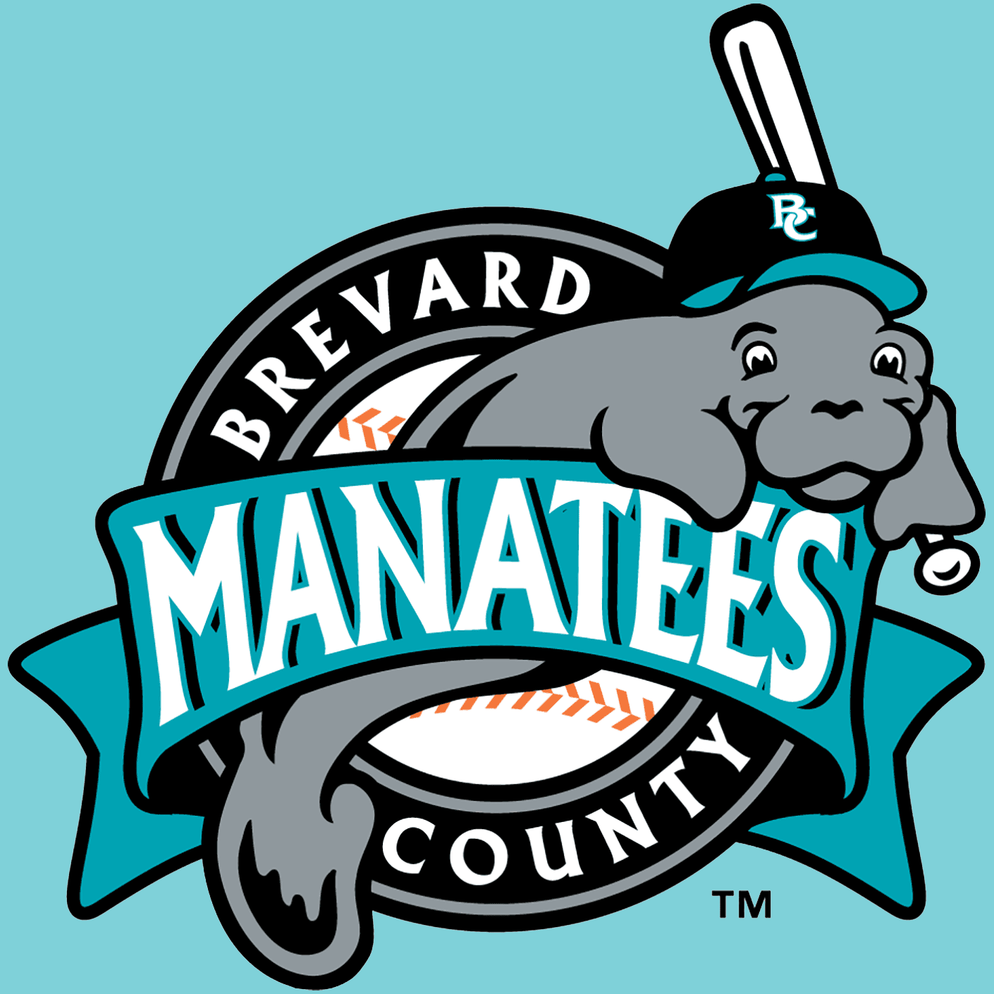 Brevard County Manatees - Baseball By Design: Stories of Minor League Logos and Nicknames cover