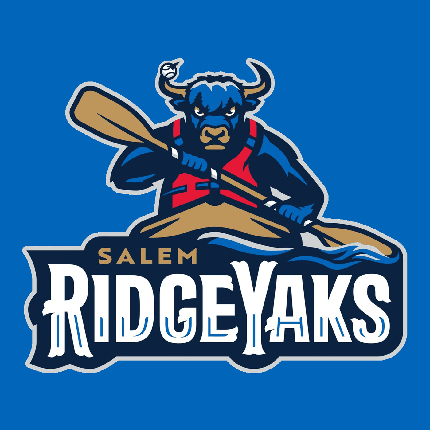 Salem RidgeYaks - Baseball By Design: Stories of Minor League Logos and Nicknames cover