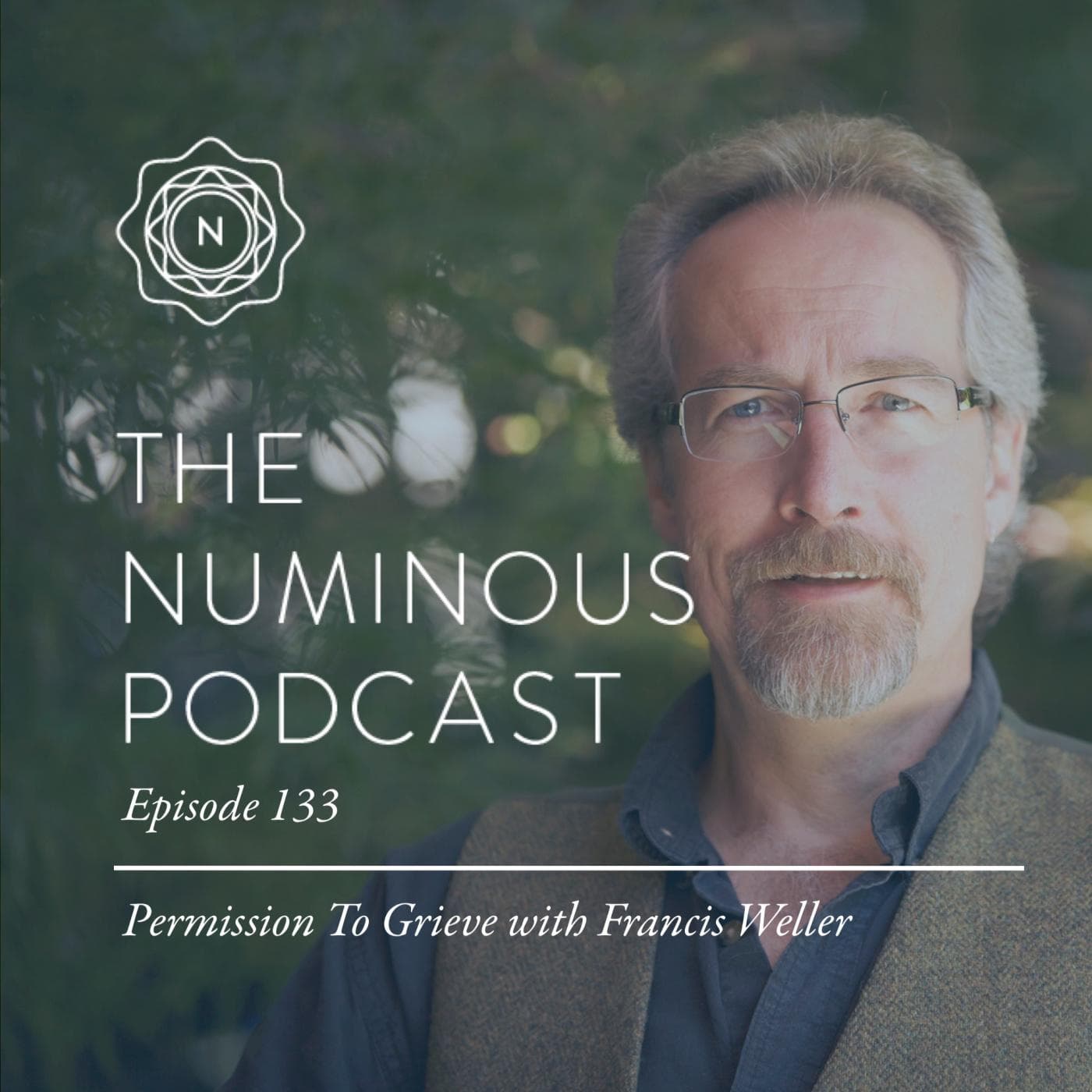 TNP133 Permission to Grieve With Francis Weller - The Numinous Podcast cover