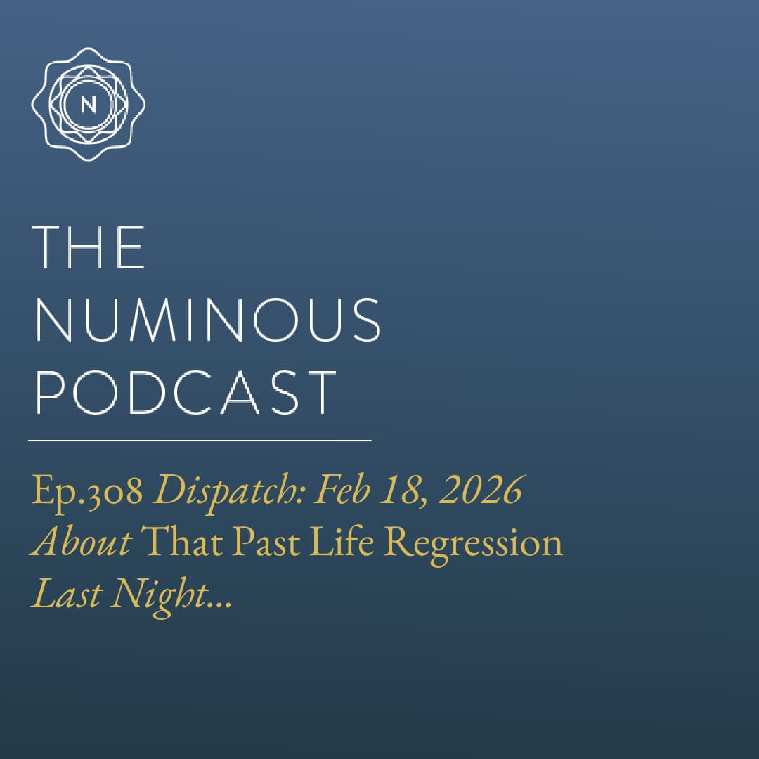 TNP308 {Dispatch: Feb 18, 2026} About That Past Life Regression Last Night... - The Numinous Podcast cover