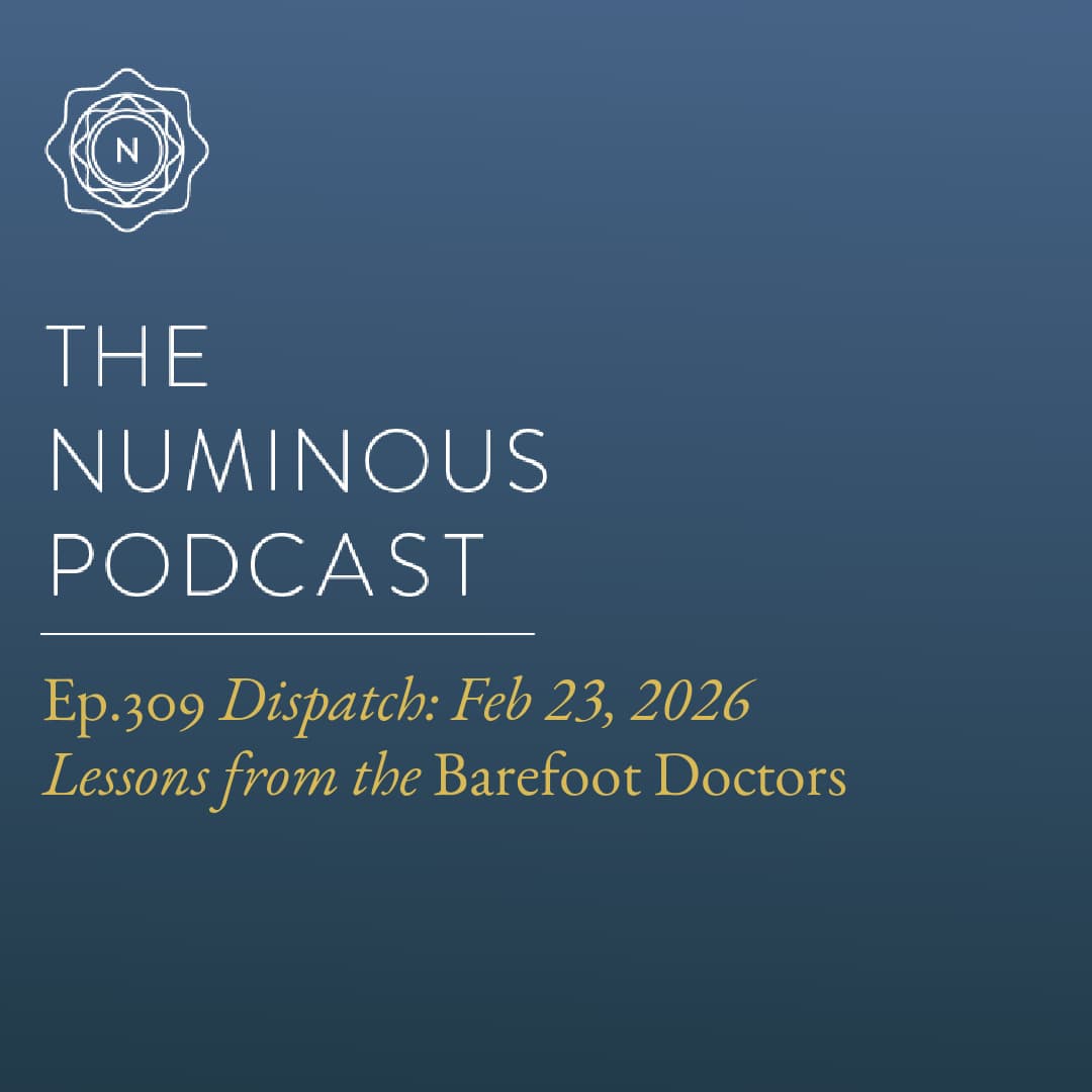 TNP309 {Dispatch: Feb 23, 2026} Lessons from the Barefoot Doctors - The Numinous Podcast cover