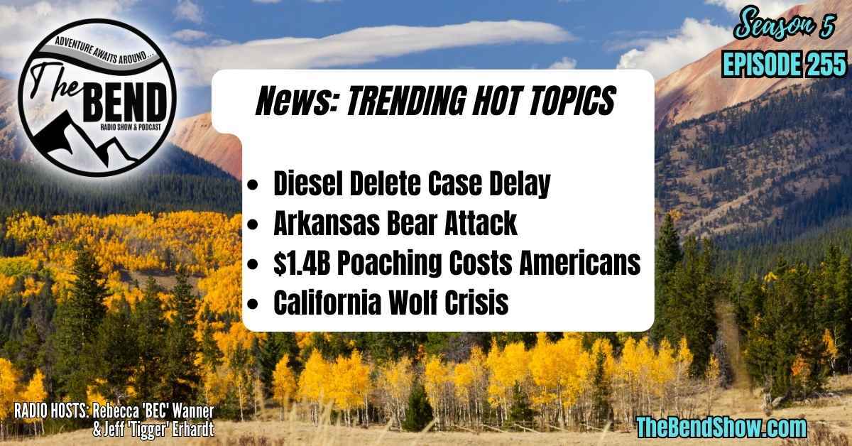 Diesel Delete Case Delay, Bear Attack, Poaching Costs & Wolf Crisis - The Bend Show Radio & Podcast cover