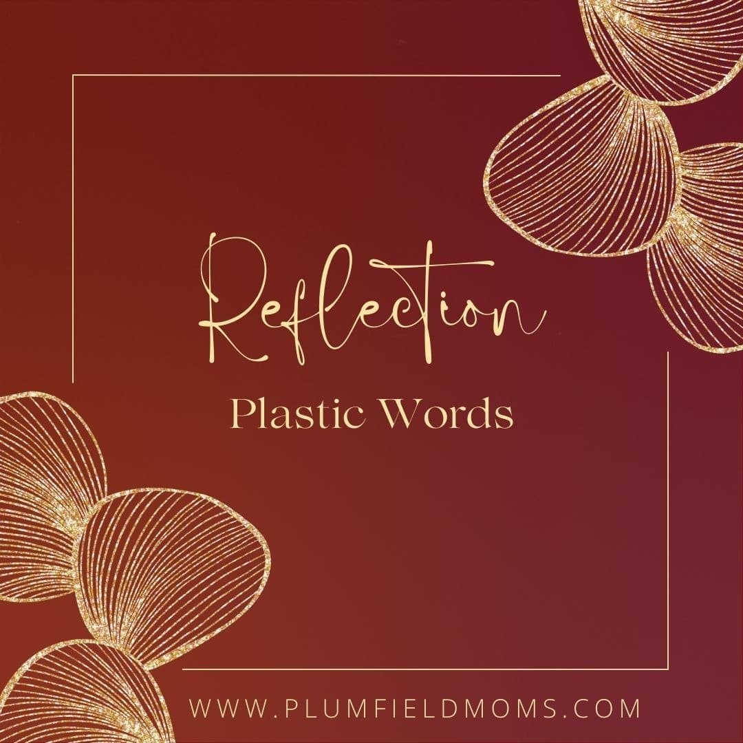 Reflection: Plastic Words - Plumfield Moms cover