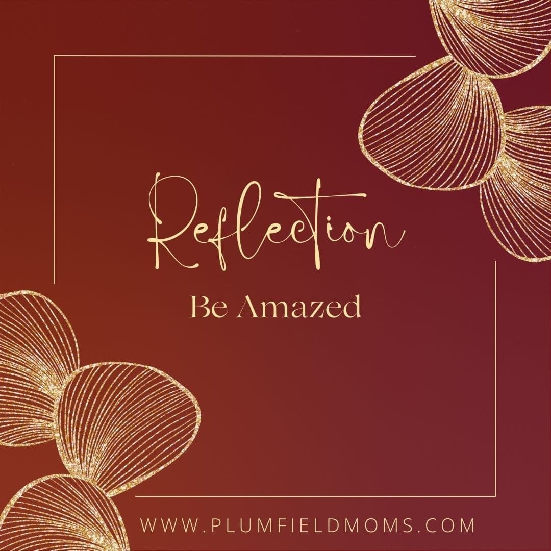 Reflection: Be Amazed - Plumfield Moms cover
