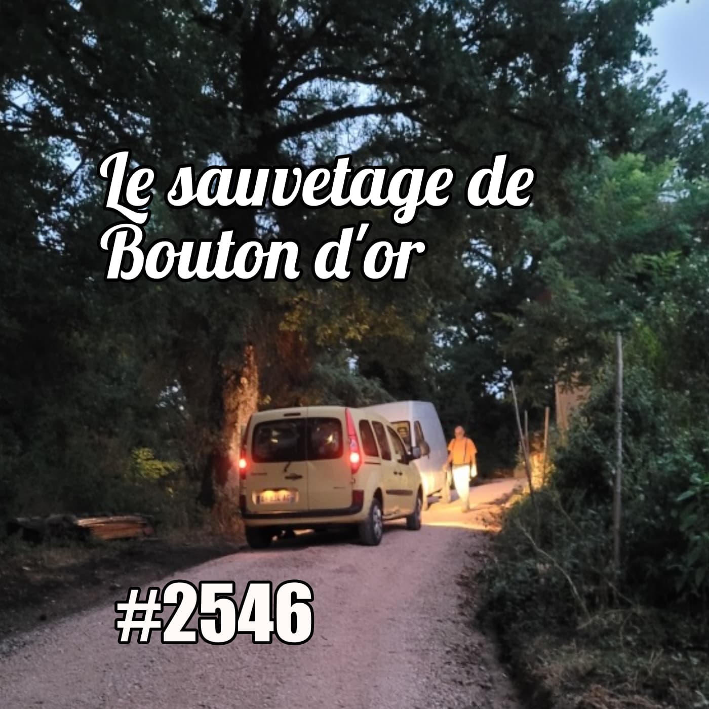 Le sauvetage de Bouton d’or (notre voiture) — One Thing In A French Day | Stories from Paris in French cover
