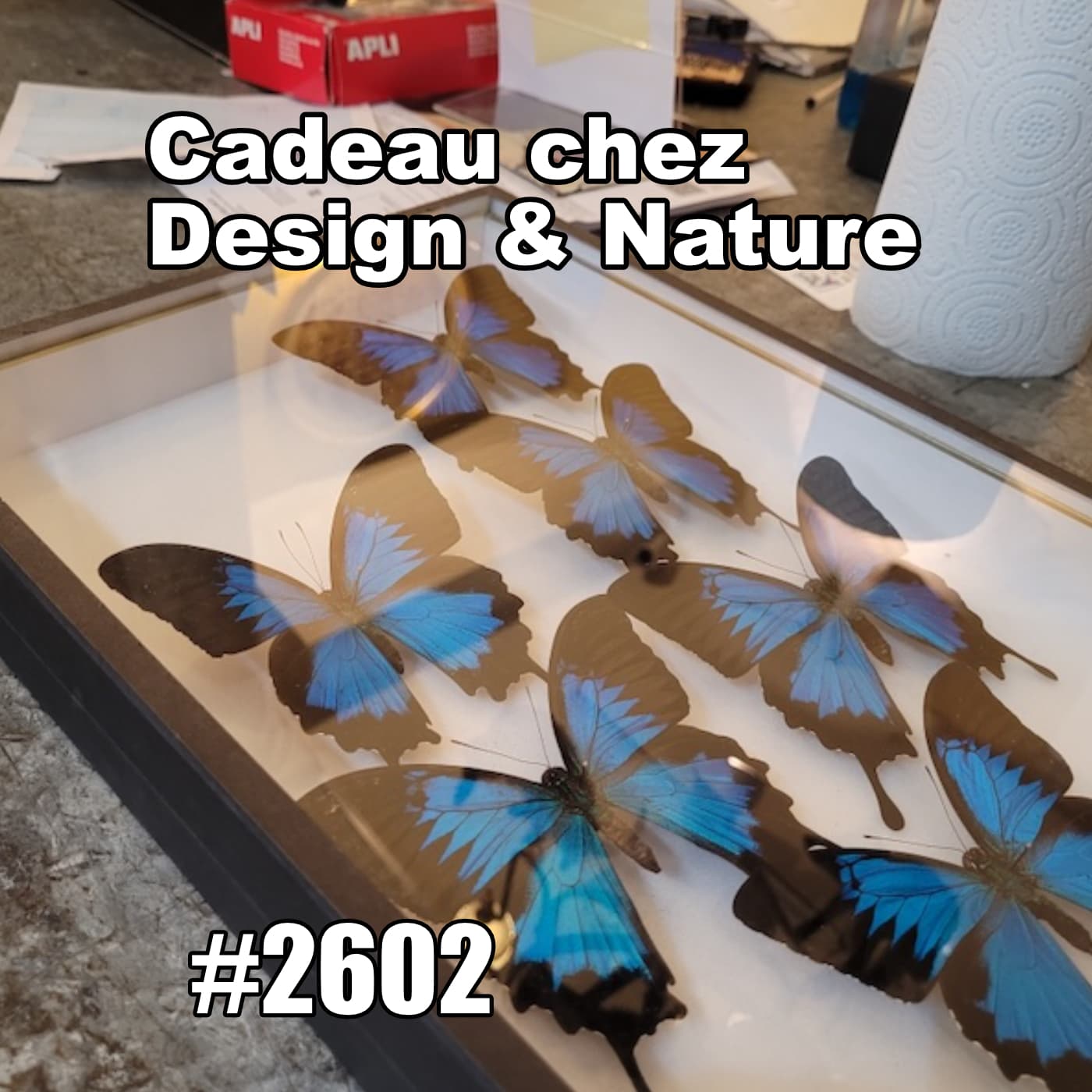 Quel cadeau chez Design & Nature ? Paris inattendu (Genuine Paris conversation) — One Thing In A French Day | Stories from Paris in French cover