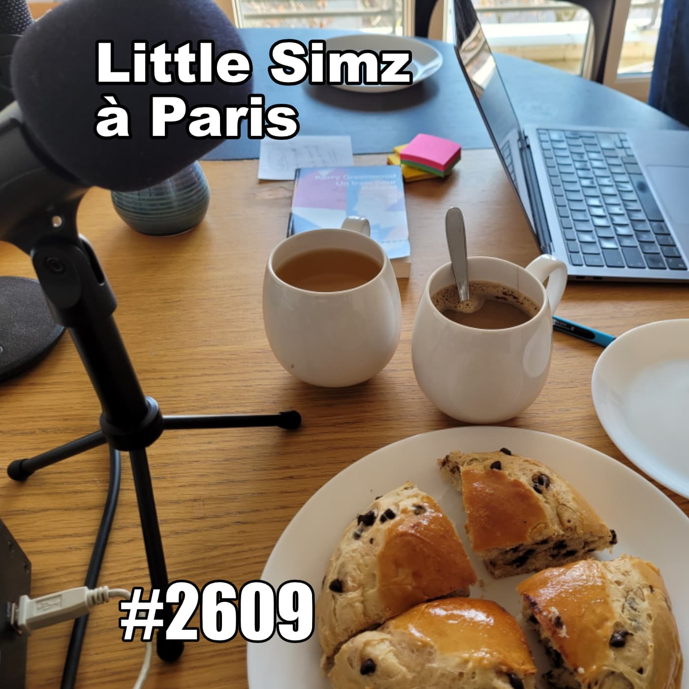 Si Little Simz vient à Paris (Parisian Day Trip) - One Thing In A French Day | Stories from Paris in French cover