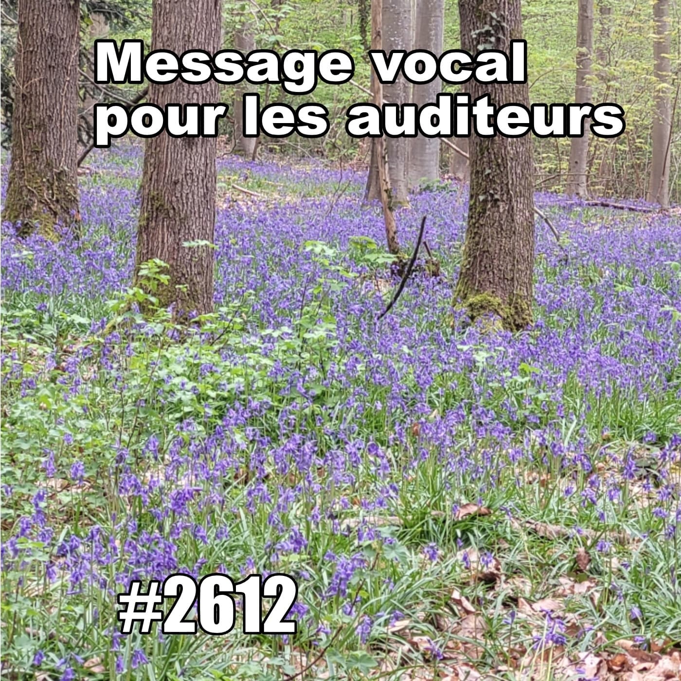Message vocal pour les auditeurs (Easter Sunday in Paris, Normal pace) - One Thing In A French Day | Stories from Paris in French cover