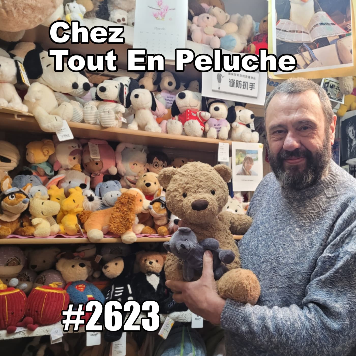 Que faut-il pour aimer les peluches ? (Teddy Bear Shop Paris) — One Thing In A French Day | Stories from Paris in French cover
