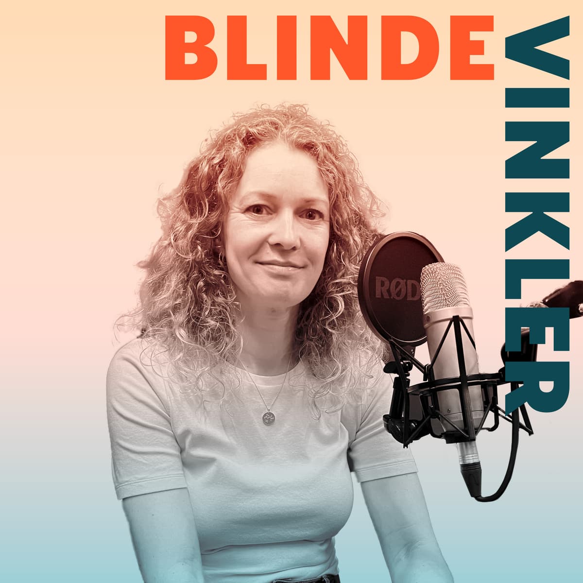 Et digitalt liv uden Silicon Valley – og med Europa i stedet? - Blinde Vinkler - cover