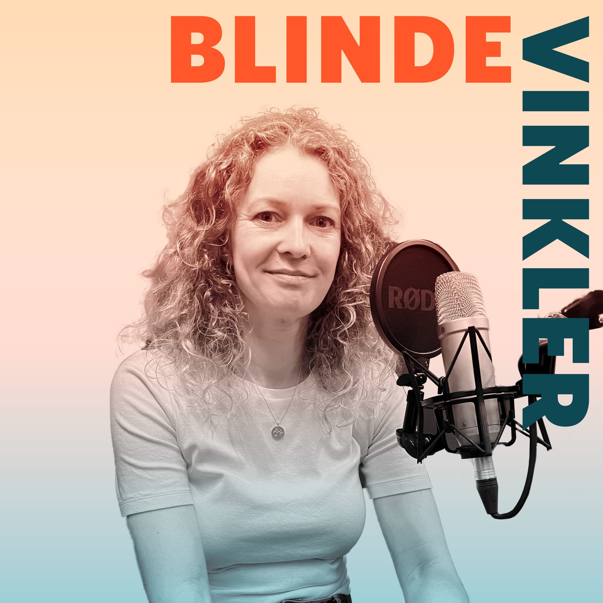 Et digitalt liv uden Silicon Valley – og med Europa i stedet? - Blinde Vinkler - cover