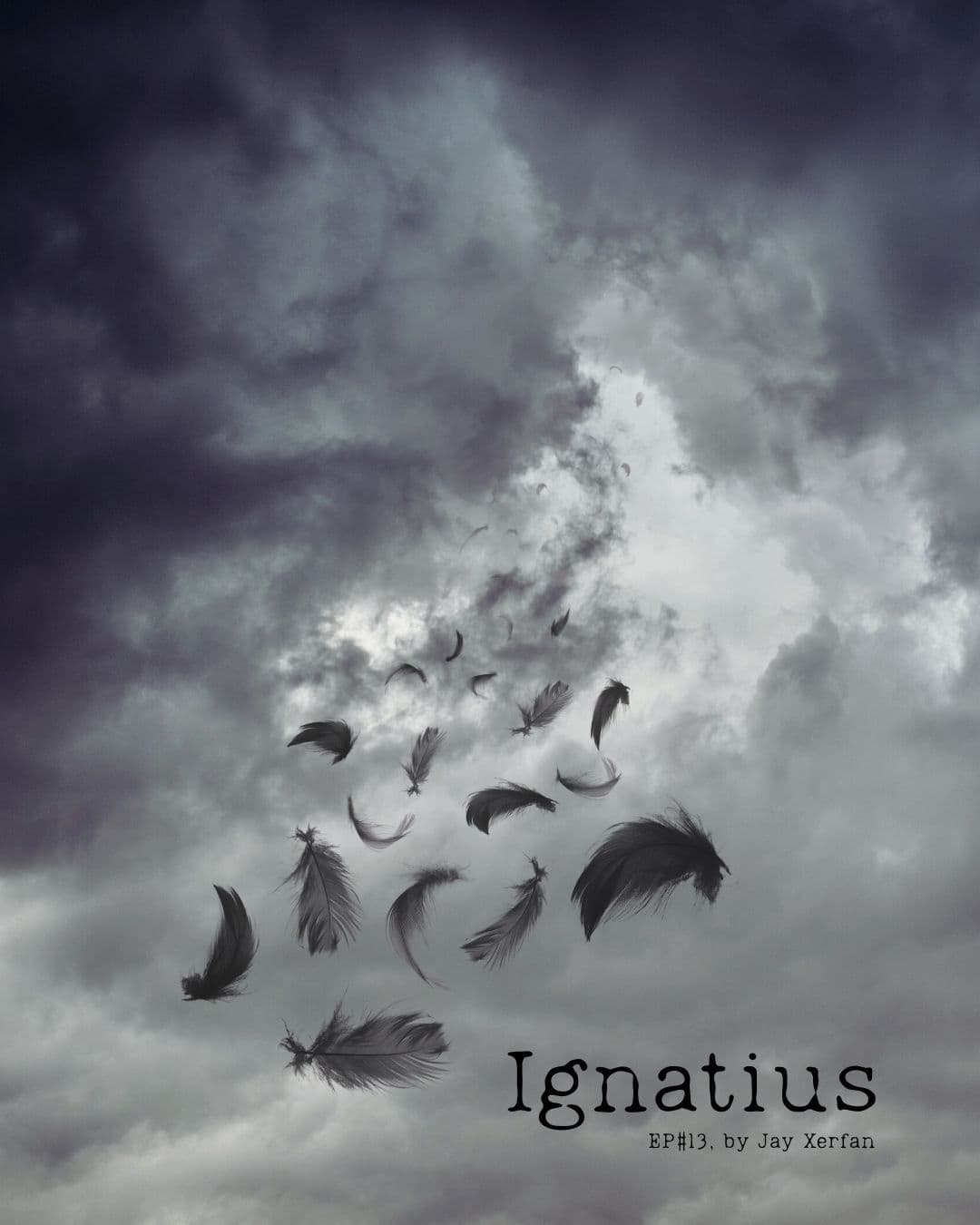 S6E13: Ignatius - Morbid Forest cover