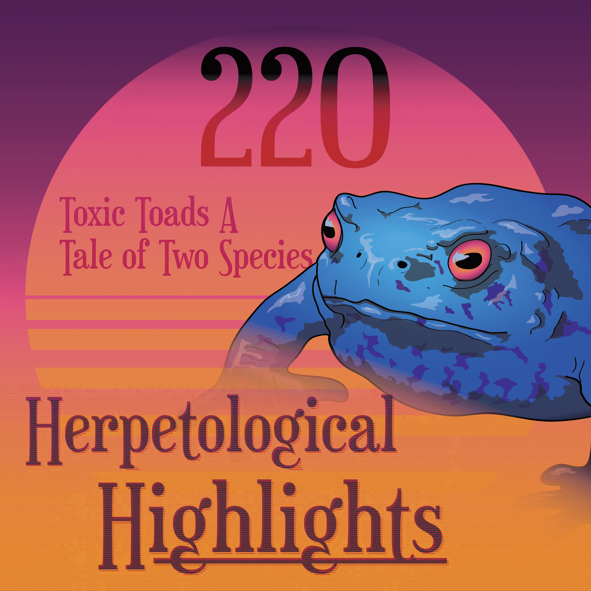 220 Toxic Toads A Tale of Two Species - Herpetological Highlights cover