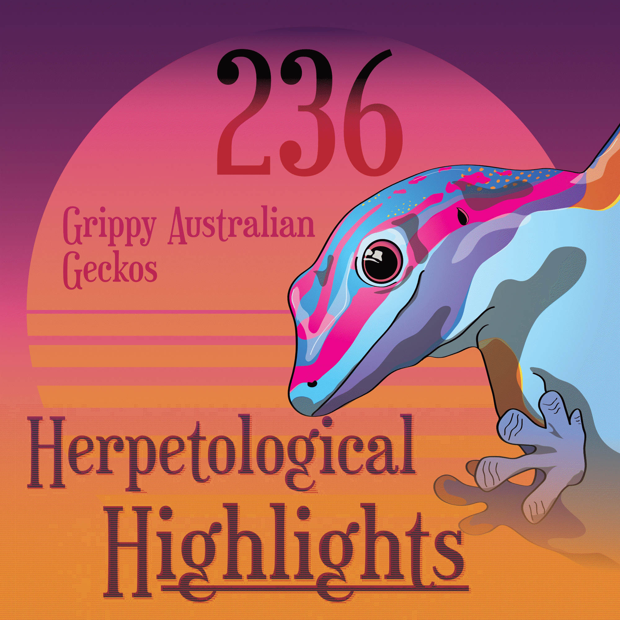 236 Grippy Australian Geckos - Herpetological Highlights cover