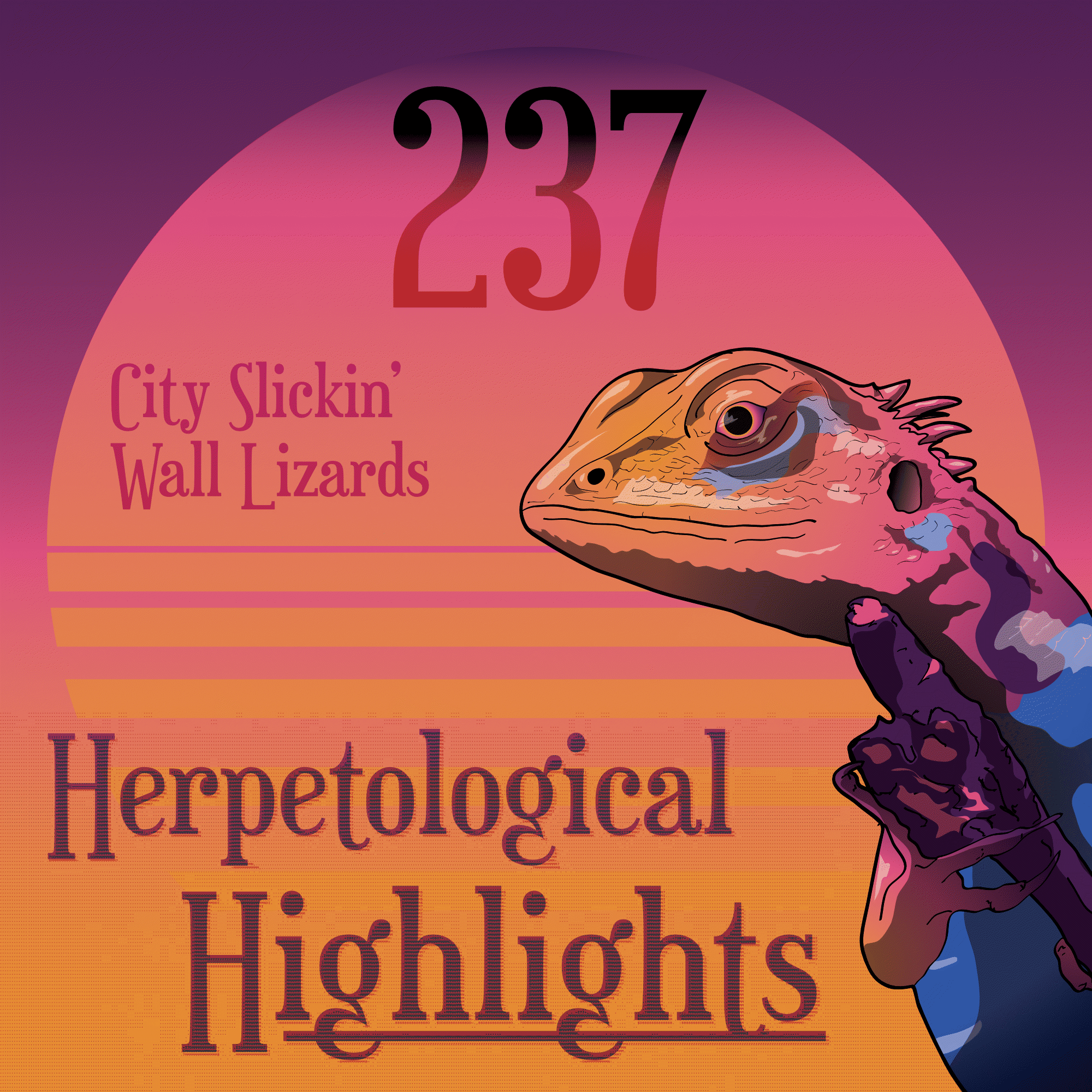 237 City Slickin' Wall Lizards - Herpetological Highlights cover