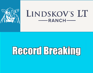 Record Breaking Sales - Cattleman’s Corner Radio cover
