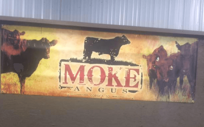 Moke Angus Ranch of Corsica South Dakota - Cattleman’s Corner Radio cover