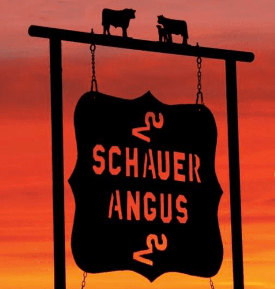 Meet Bryant Schauer of Schauer Angus - Cattleman’s Corner Radio cover