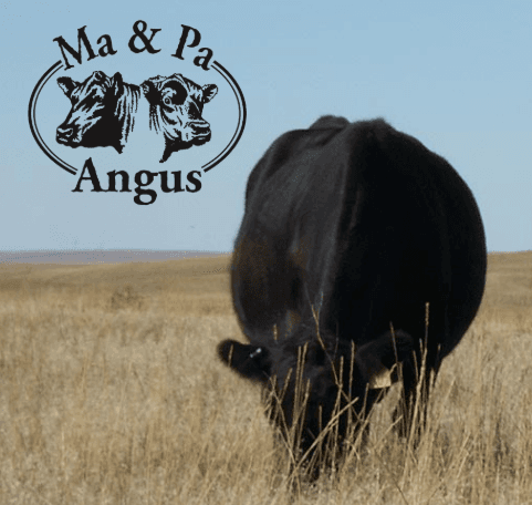 Steve Mowry - Passionate About Angus - Cattleman’s Corner Radio cover