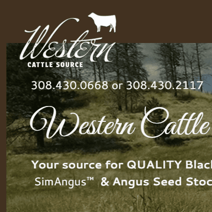 Western Cattle Source Sale - Cattleman’s Corner Radio cover