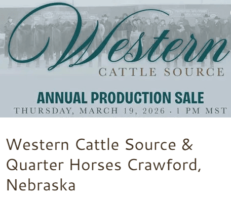 Brenda Beeson of Western Cattle Source - Cattleman’s Corner Radio cover