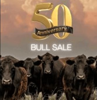 A Different Kind of Bull Sale - Cattleman’s Corner Radio cover