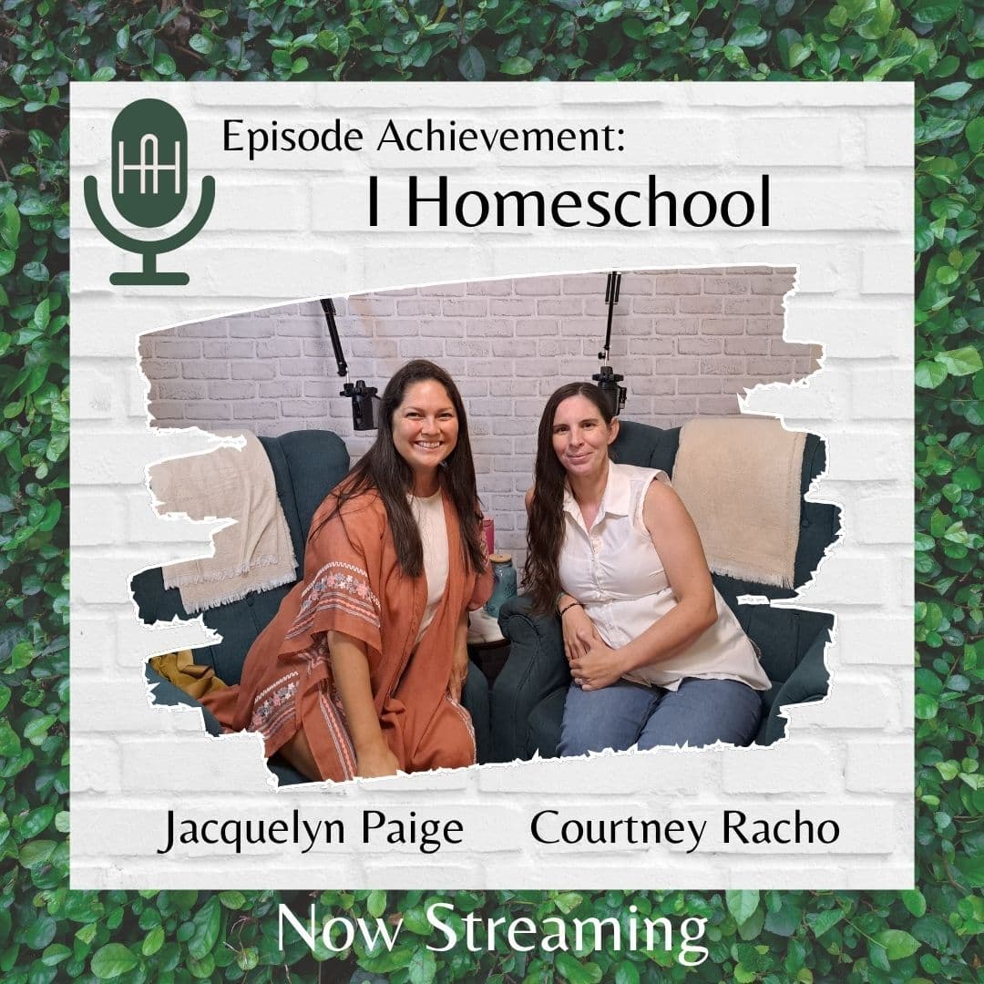 I Homeschool - The High-Achieving Housewife cover