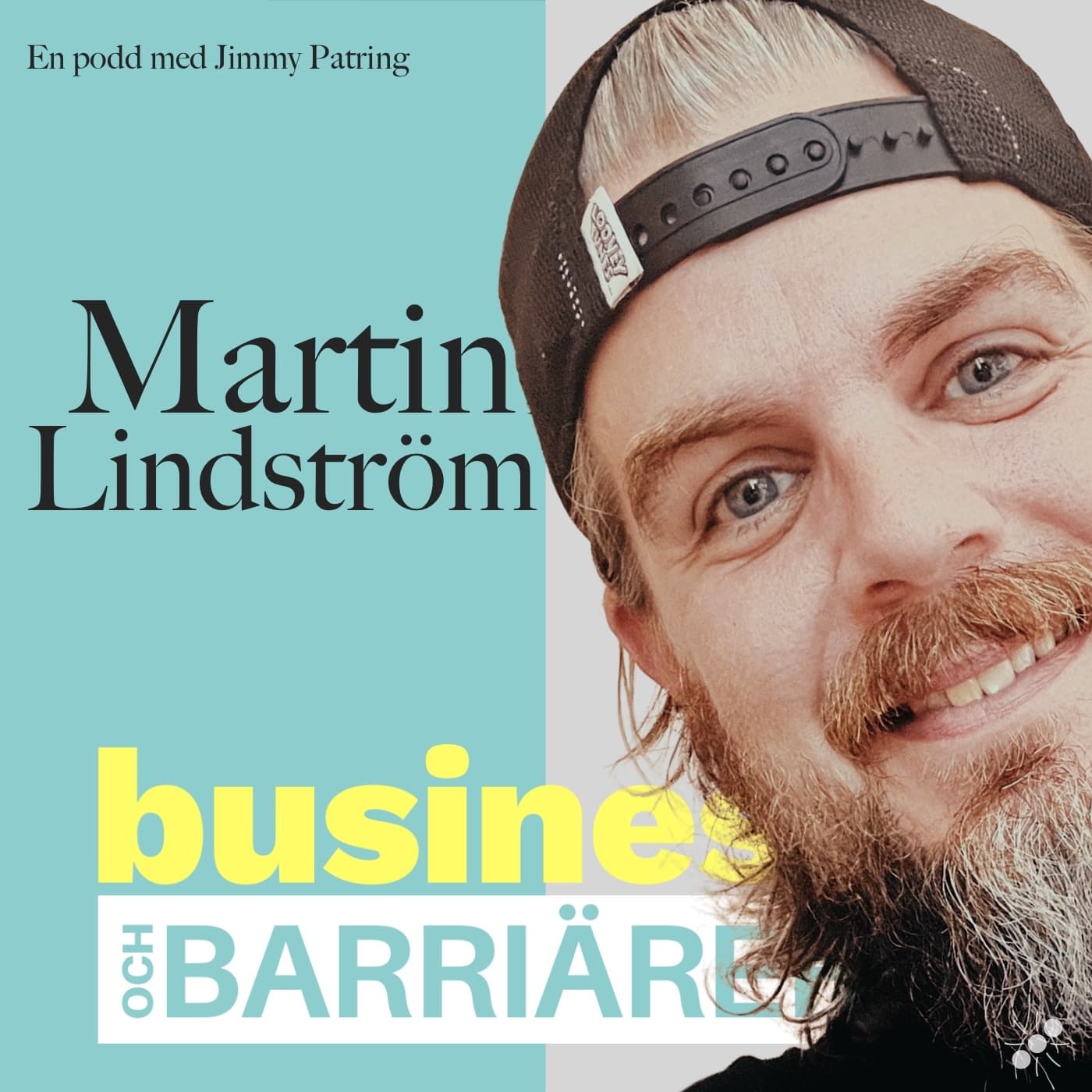 Martin Lindström - På andra sidan väggen - Business och barriärer cover