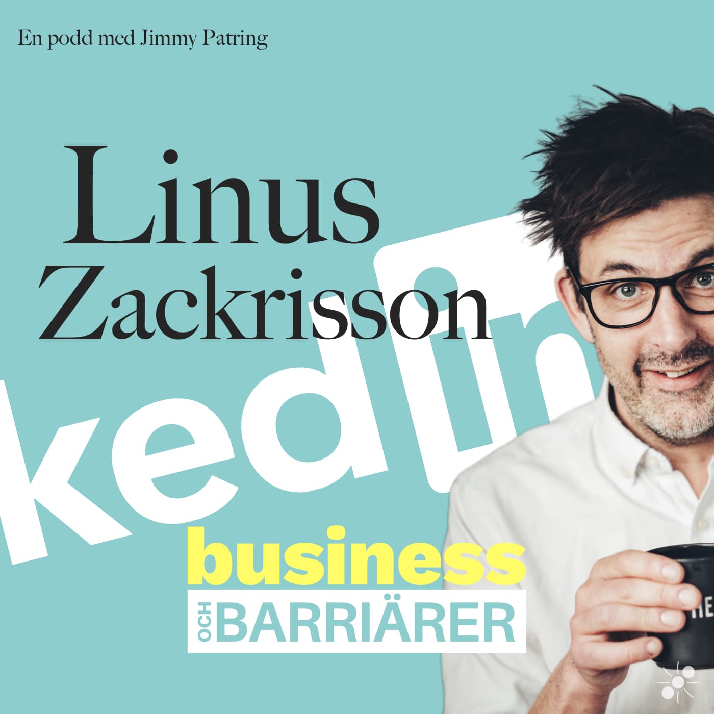 Linkedin-Linus - Business och barriärer cover