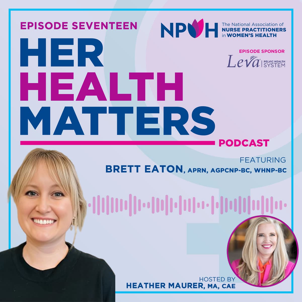 Perimenopause: An Integrative Medicine Approach for WHNPs and APRNs - Her Health Matters cover