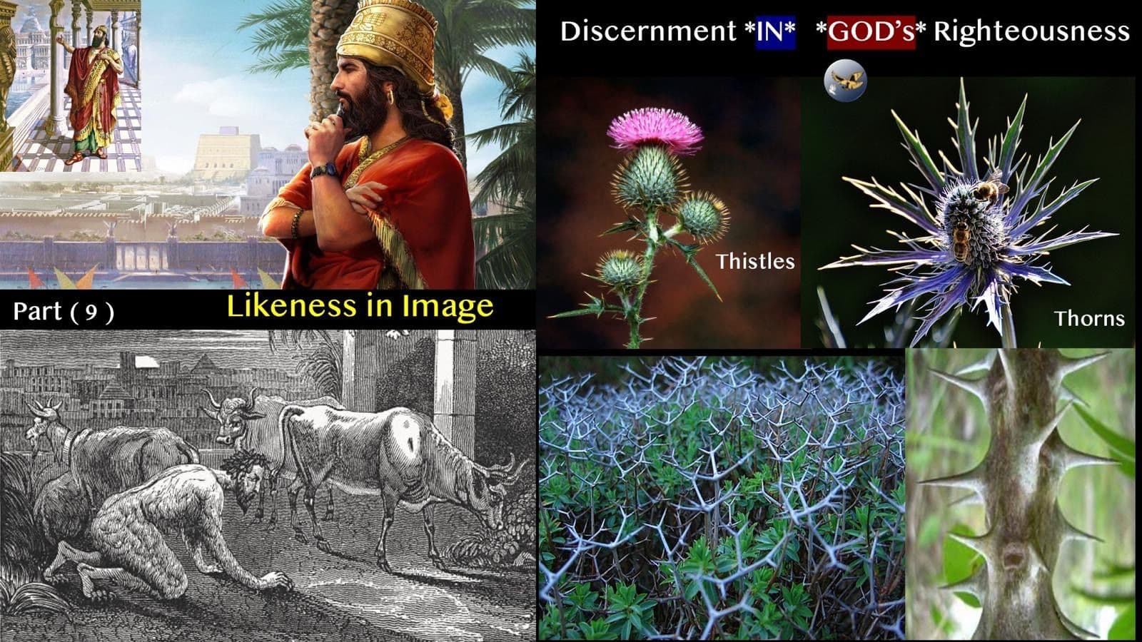 S19:E41 - Discernment in God's Righteousness (09) - Likeness in Image - Prophetic*Revelation cover