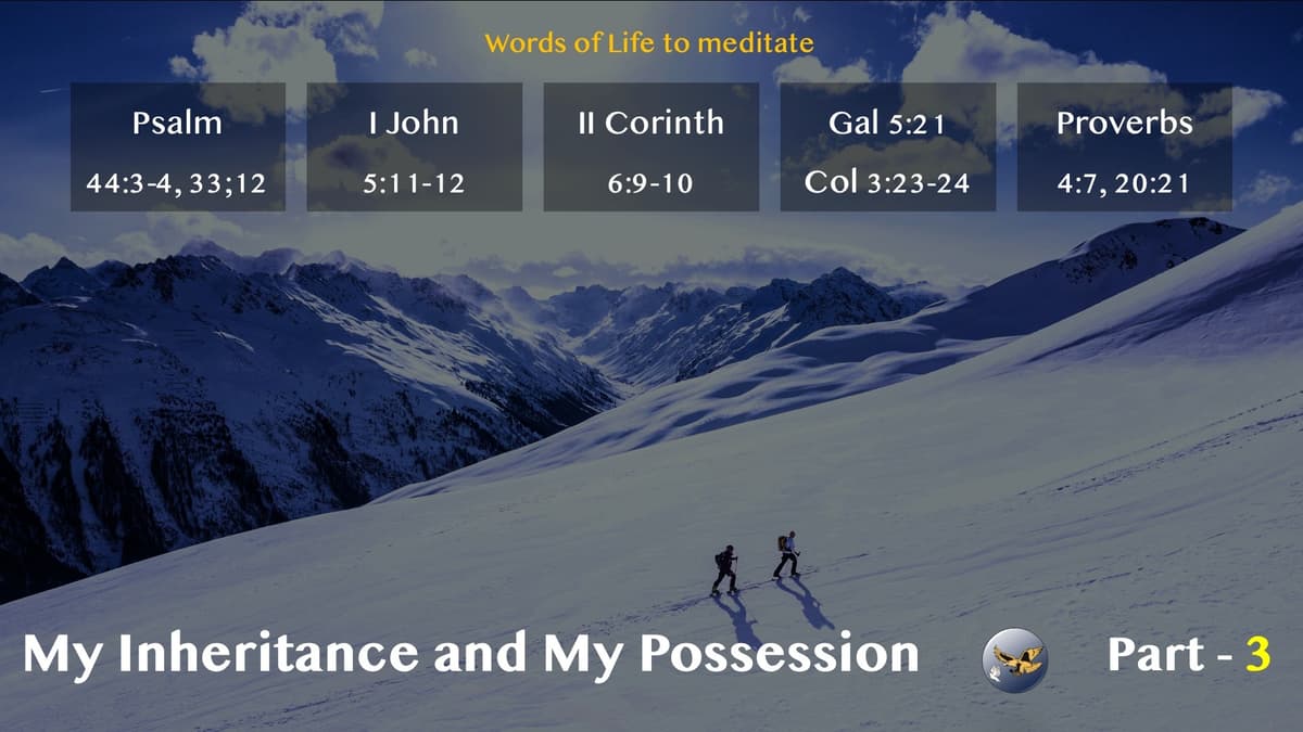 S19:E35 - [Bible Study] My Inheritance and My Possession (3) - Prophetic*Revelation cover