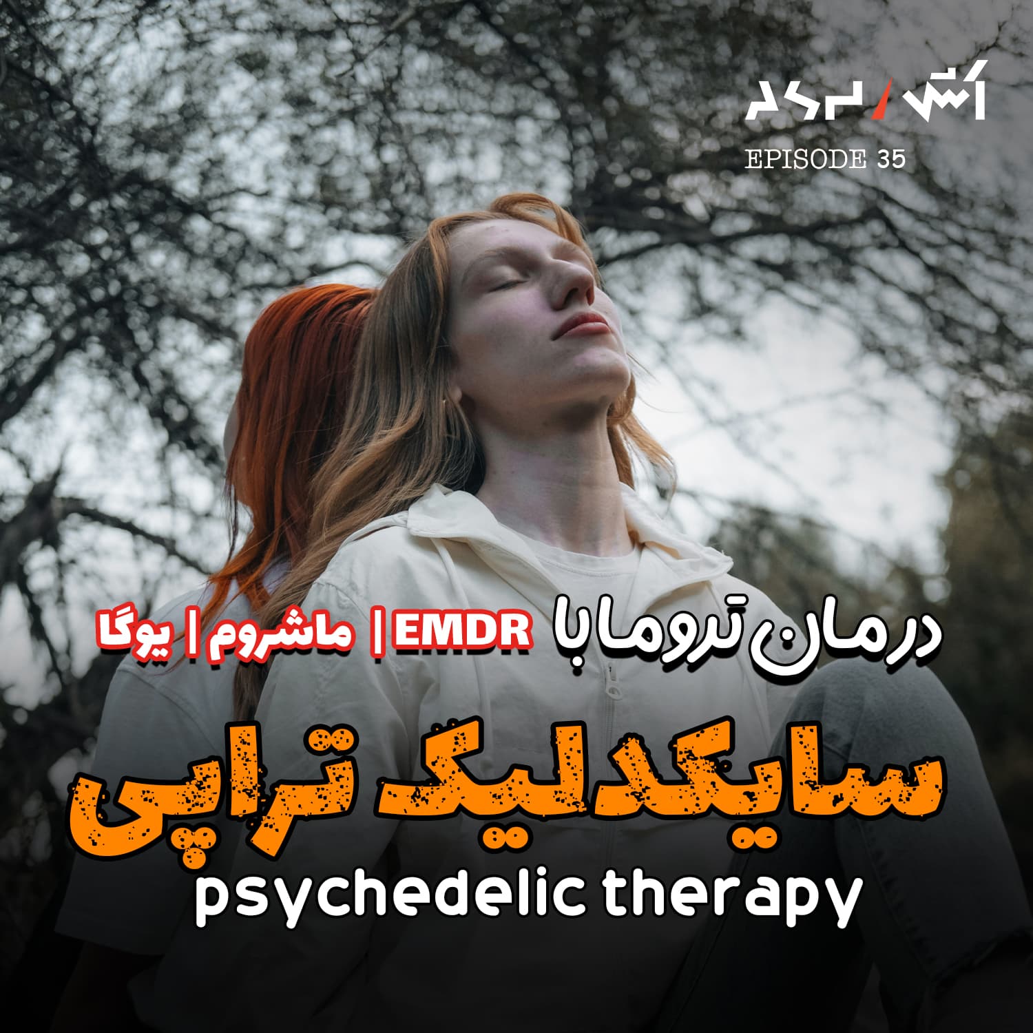 پادکست اش E35 | بهترین درمان های تروما از تاثیرگذارترین روان پزشک قرن ۲۱ - ASH | پادکست اش cover