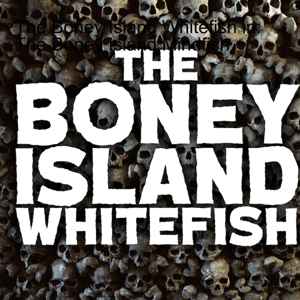 The Boney Island Whitefish in: The Boney Island Mindfish - TRASHFUTURE cover