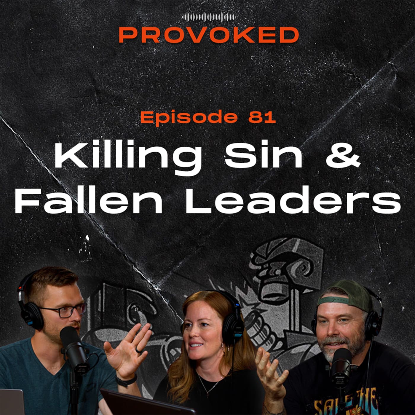 81. Killing Sin & Fallen Leaders - Provoked cover