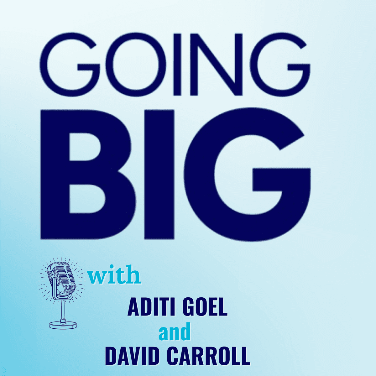 Going Big with Aditi Goel and David Carroll: Taking On America’s Hidden Justice Crisis - Going Big! with Kevin Gentry cover