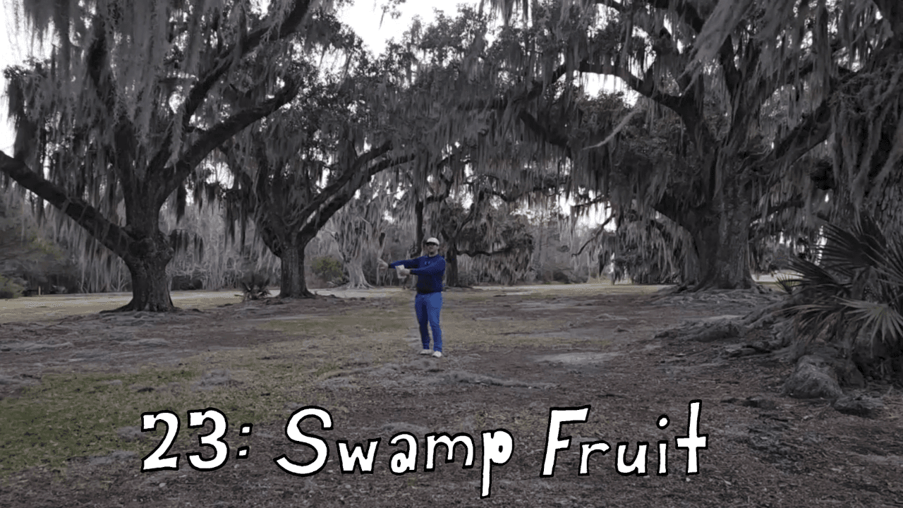 23 : Swamp Fruit - Seanathan Cory cover