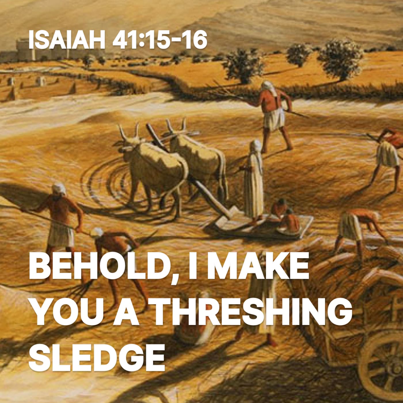 Behold, I Make You a Threshing Sledge - Storyline Seoul cover