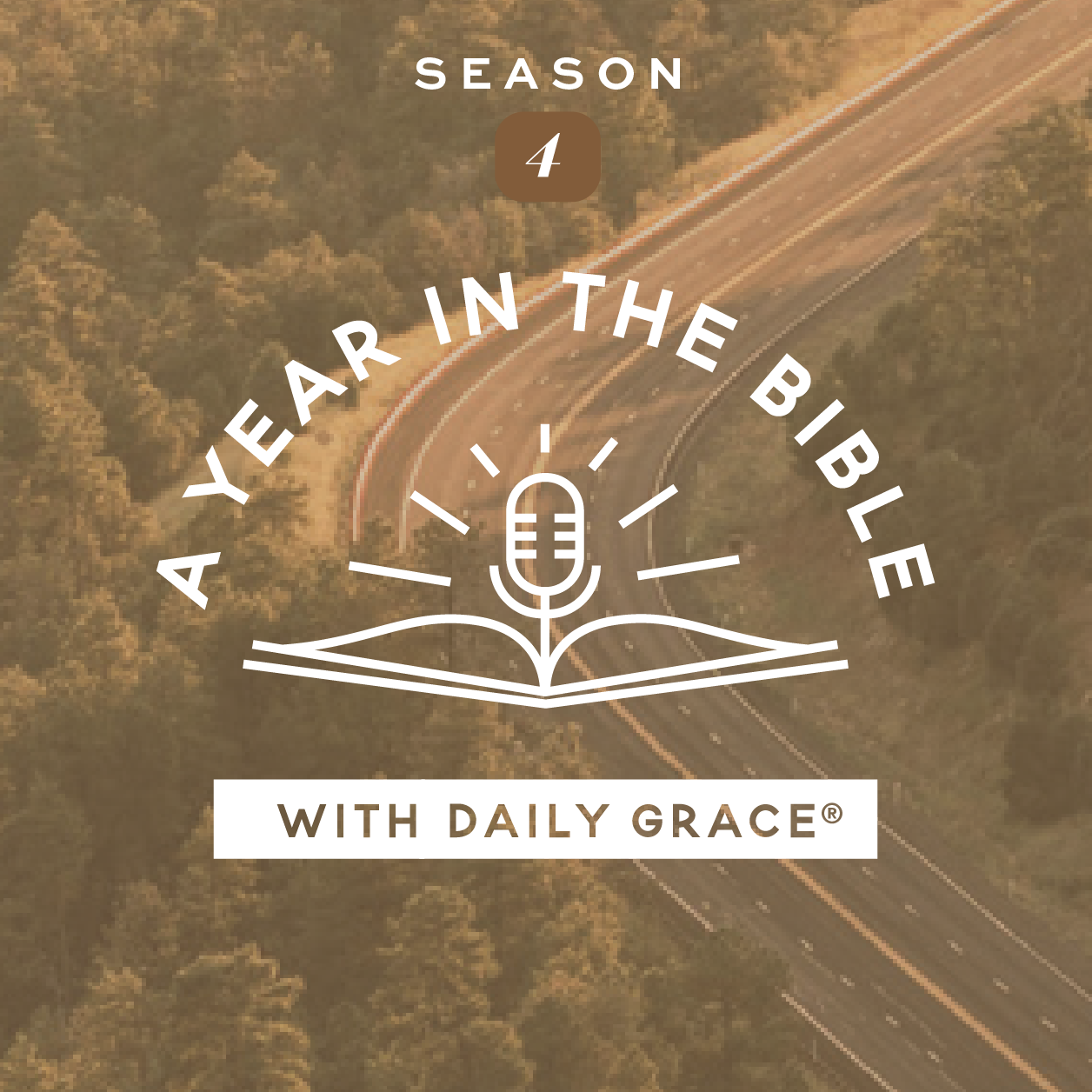 S4: Prep Week: Identifying Christ in a Passage - A Year in the Bible with Daily Grace cover