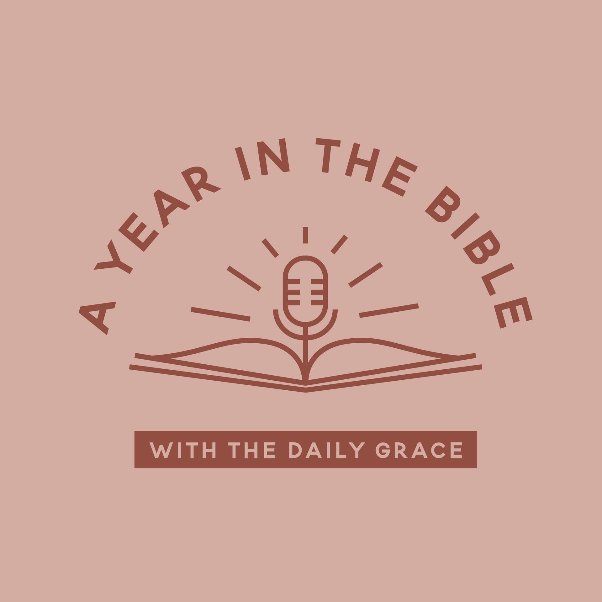 Bonus: Matthew - John - A Year in the Bible with Daily Grace cover