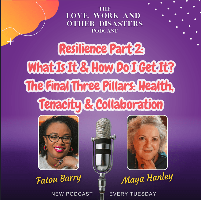Resilience part 2 - The Final Three Pillars: Health, Tenacity & Collaboration - The Love, Work & Other Disasters Podcast cover
