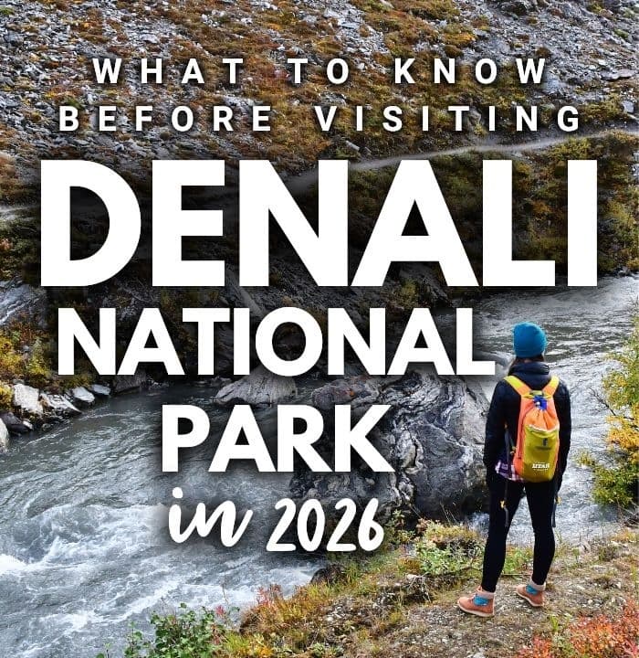 2026 Series: Denali National Park // Park Road Updates & More - Destination Alaska cover