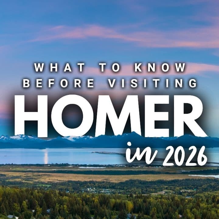 2026 Series: Homer // New Events, Eats & More! - Destination Alaska cover