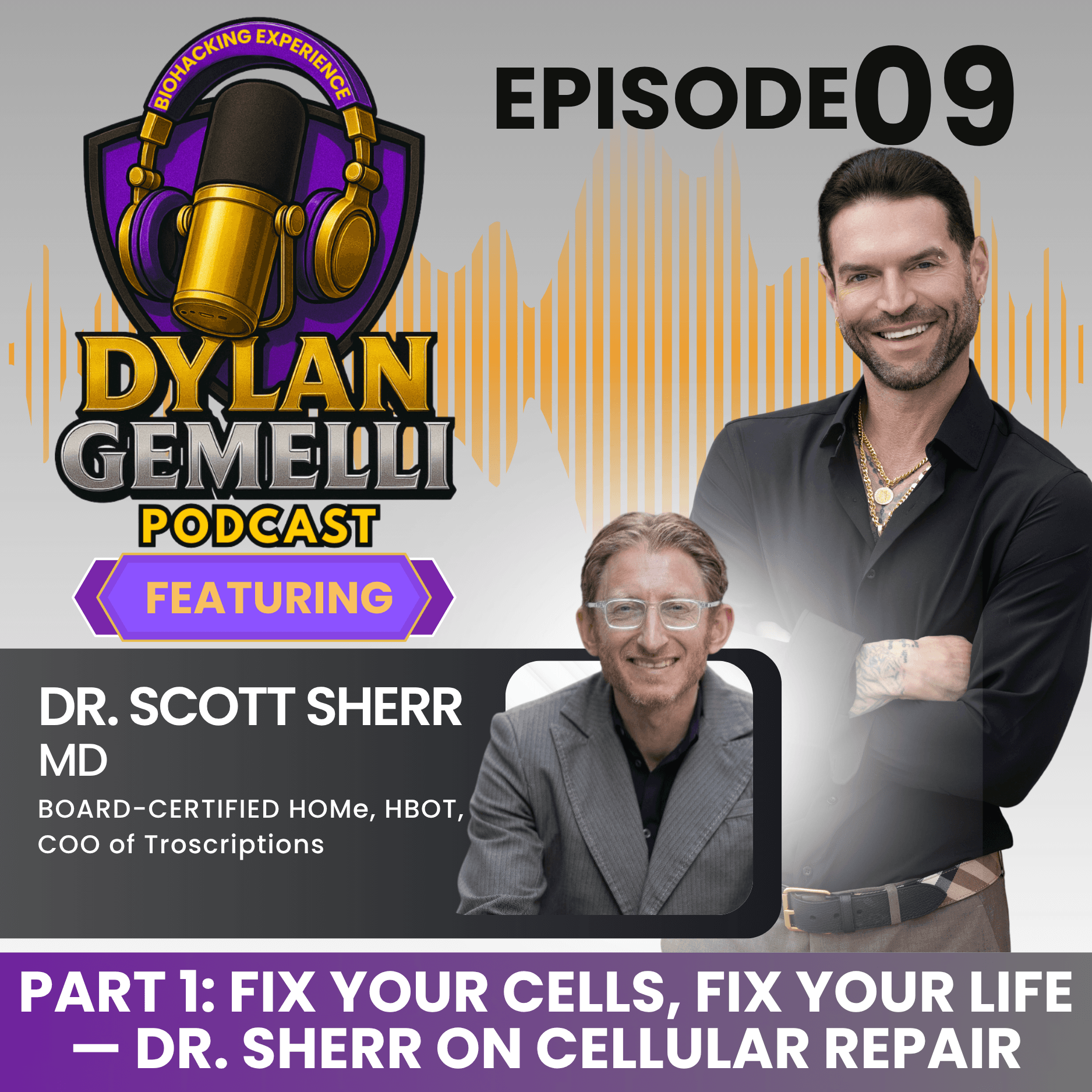 Episode #9 Featuring Dr. Scott Sherr PART 1!  Methylene Blue, Hyperbaric Oxygen Therapy, Cellular and Mitochondrial Health, Metabolomics, Understandin... - The Dylan Gemelli Podcast cover