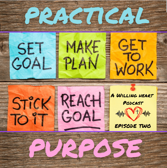 Practical Purpose - A Willing Heart cover