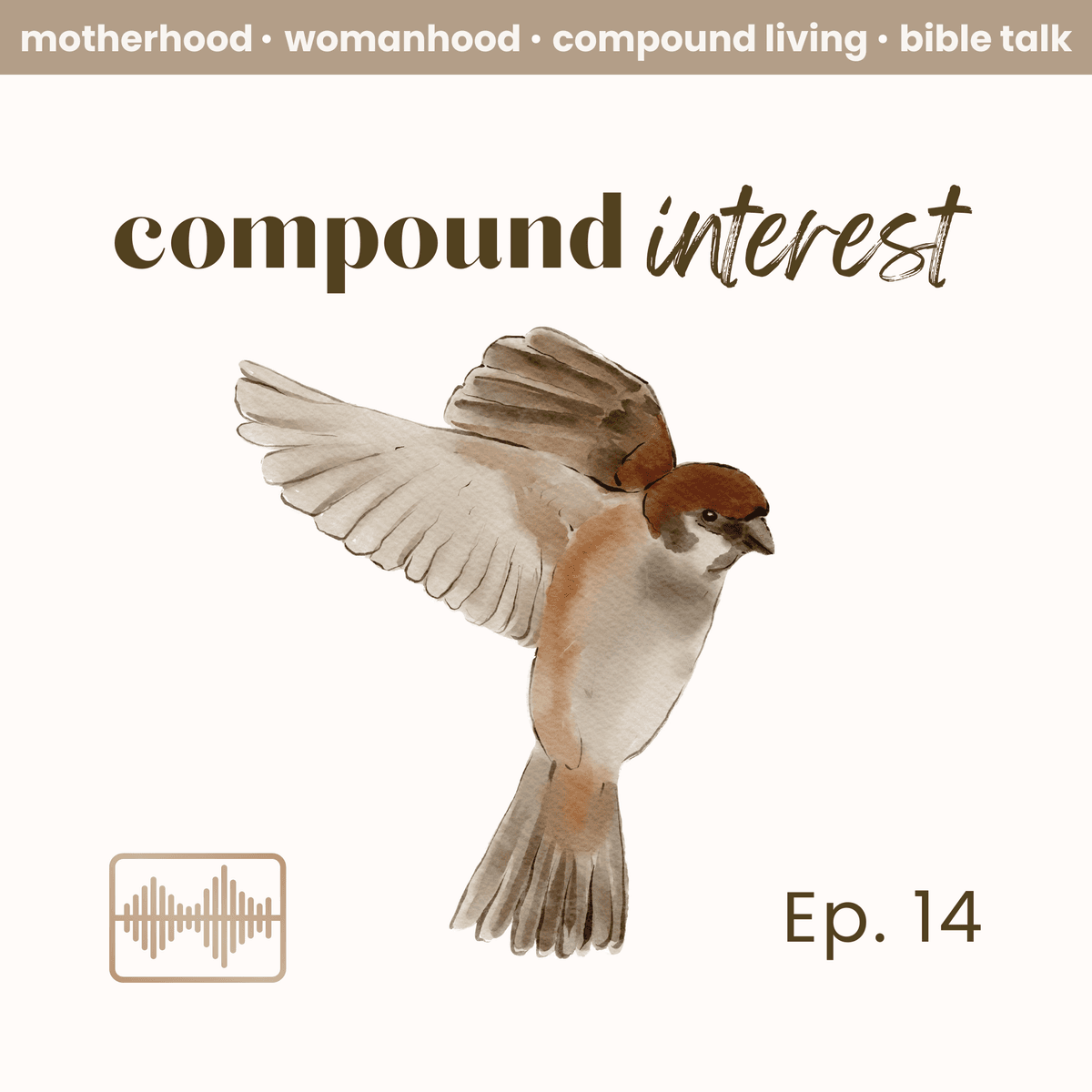 Ep. 14 The 3rd Commandment | Compound Interest Podcast - Compound Interest cover