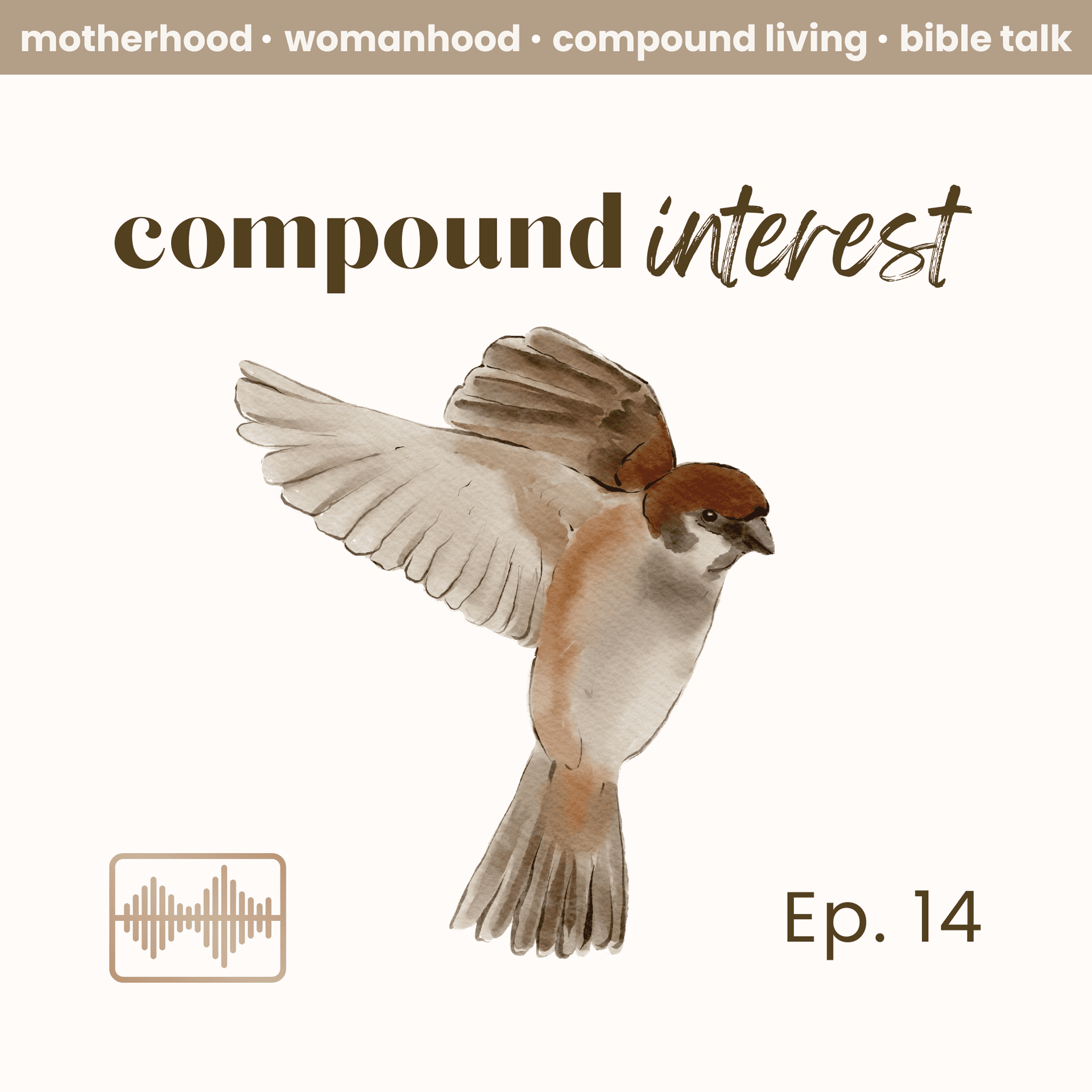 Ep. 14 The 3rd Commandment | Compound Interest Podcast - Compound Interest cover