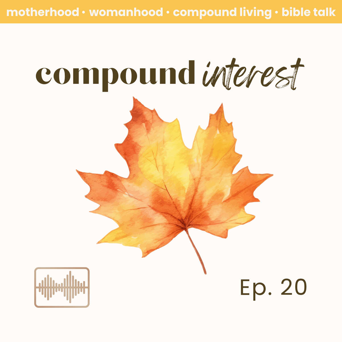 Ep. 20  Another round of Questions | Compound Interest Podcast - Compound Interest cover