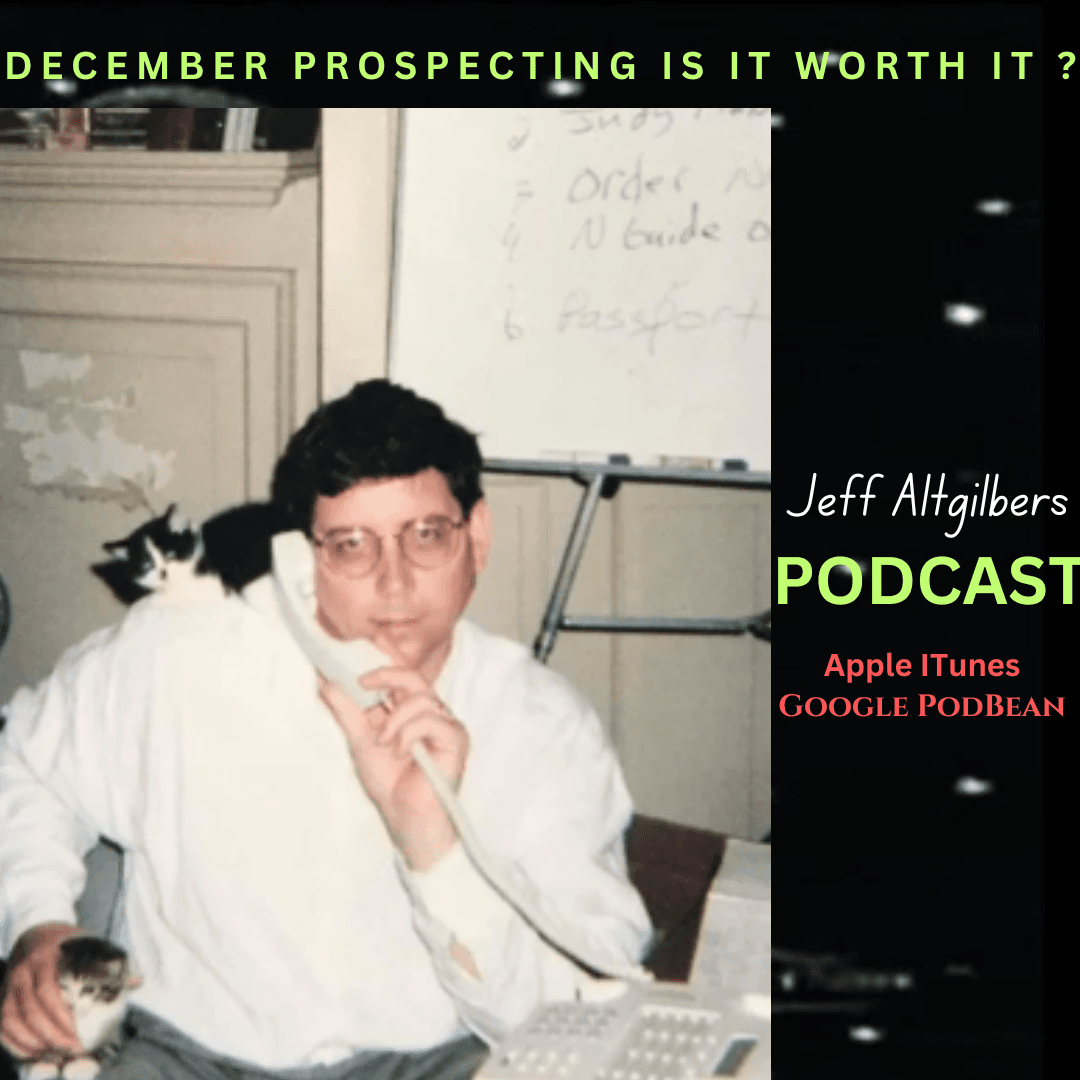 Is it Worth the Effort to try to Build a Business in December? - The Jeff Altgilbers Podcast cover